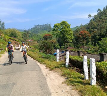 Cycling in Kerala during monsoon