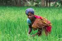 Cycling Tour in South India Cycling Tour in South India