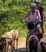 Rajasthan Cycling Tour Rajasthan Cycling Tour