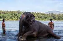 South India Cycling Tour South India Cycling Tour